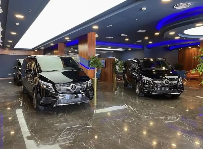 Ertex Dubai showroom opening